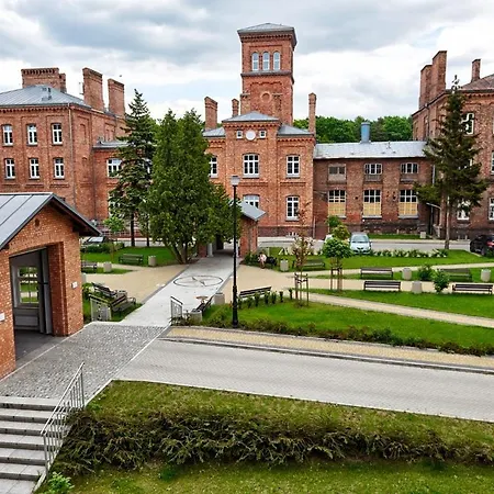 Juna - Nowoczesny W Centrum Z Widokiem Na Park